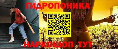 шишки Кунгур